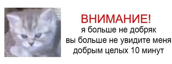 1730909039920.png