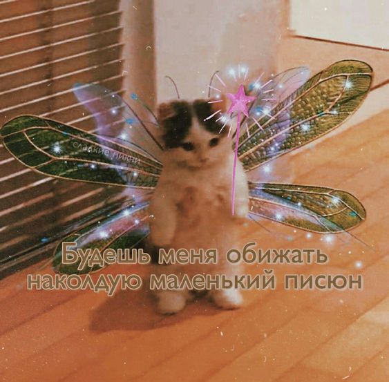 1730960061.jpg