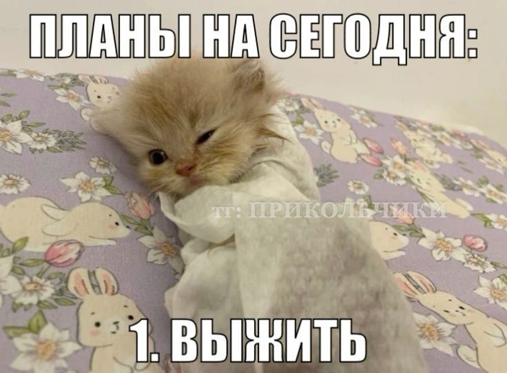 1731003151591.png
