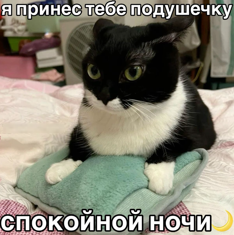 1731184986381.png