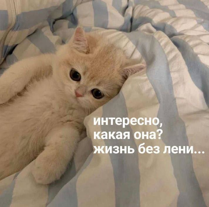 1731216419398.png