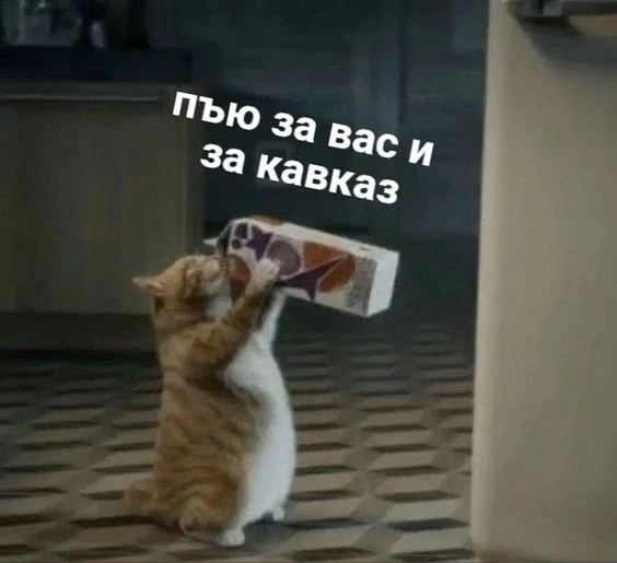 1731370035293.jpeg
