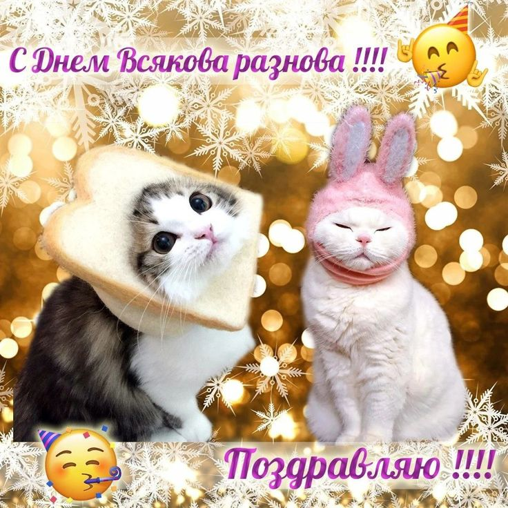1731482113345.png