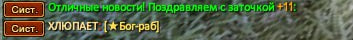 1731527254251.png