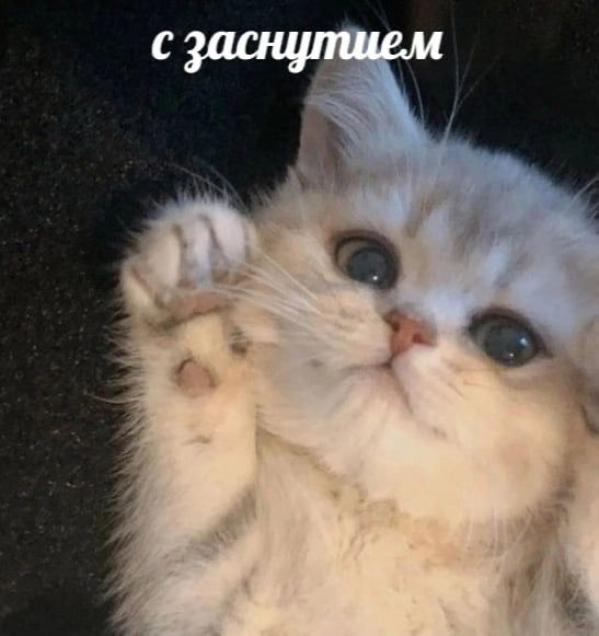 1731544401274.png