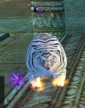 1731588346858.png
