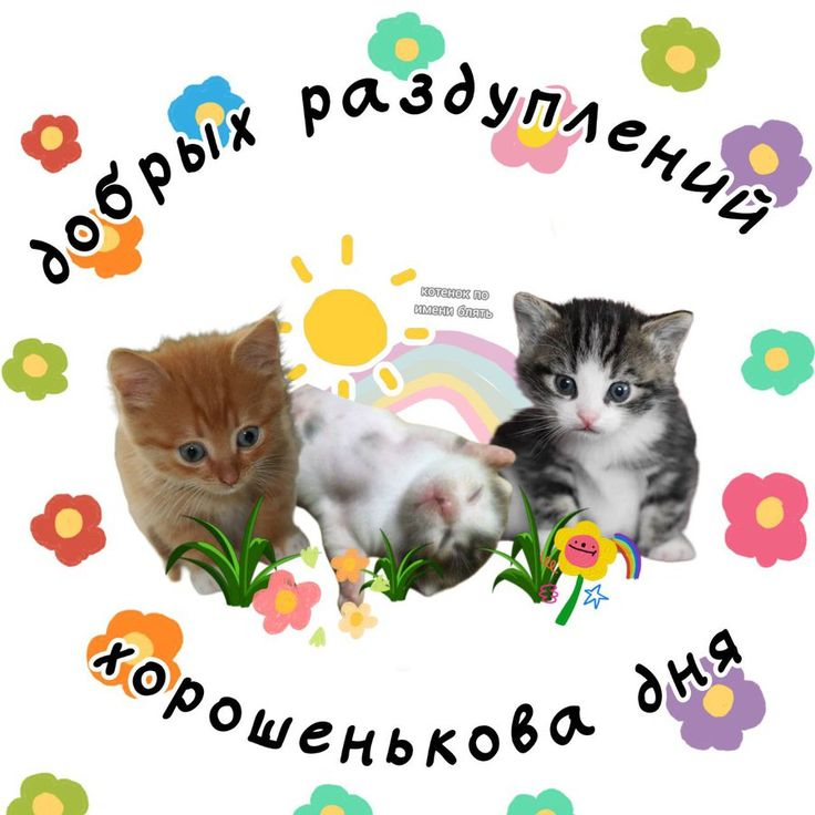 1731911959090.png