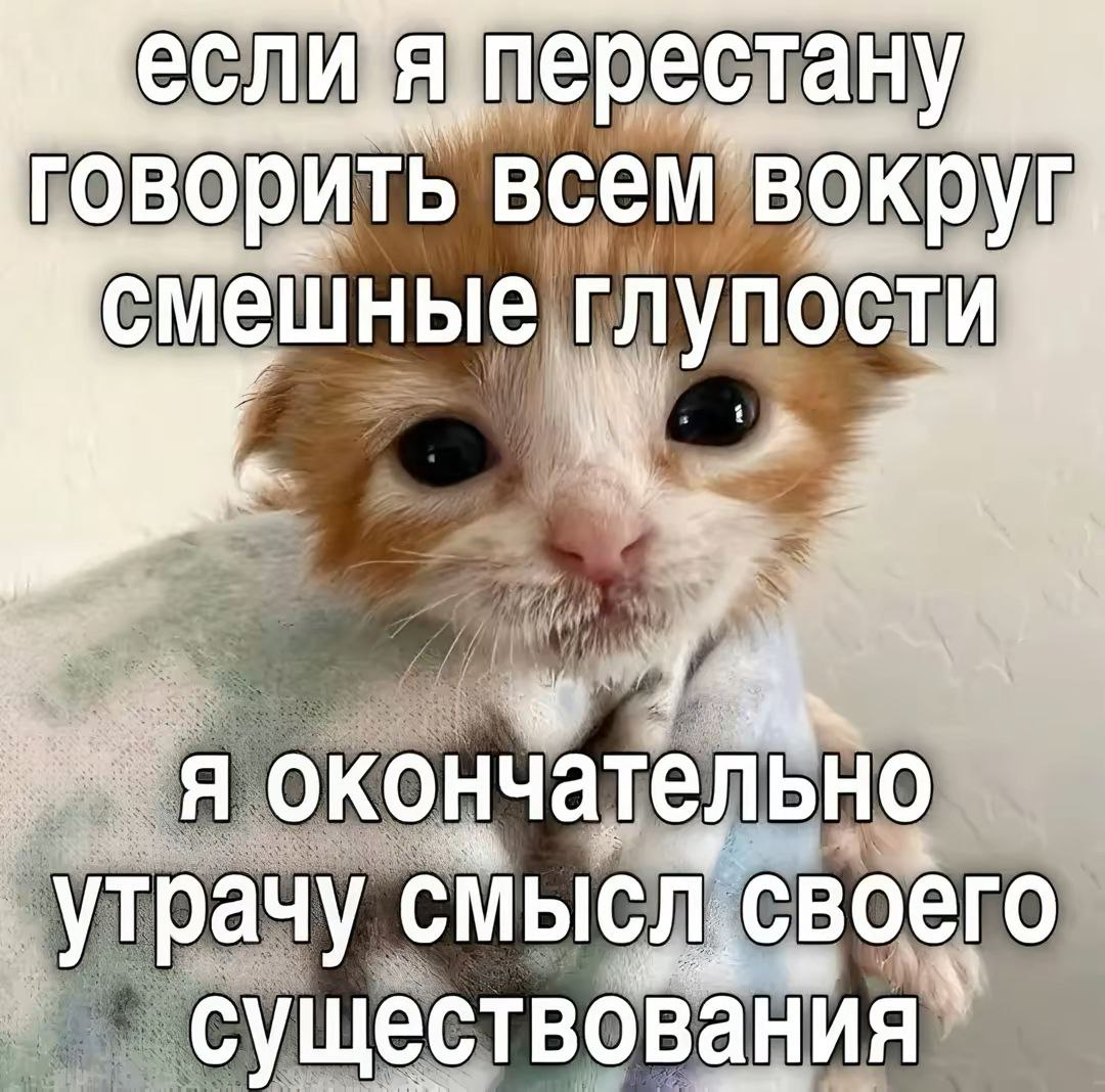 1731944417791.png