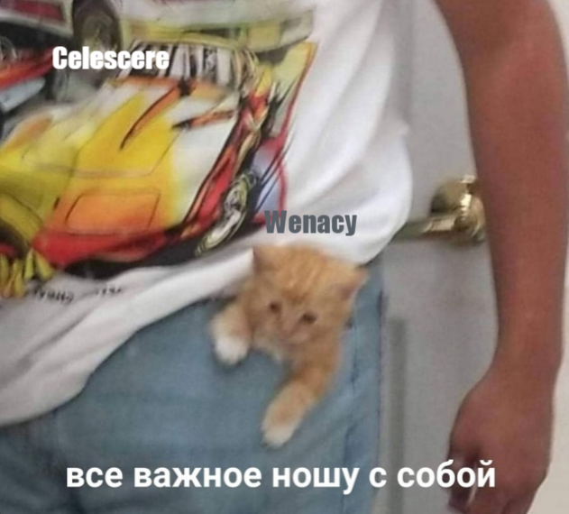 1731968910803.png