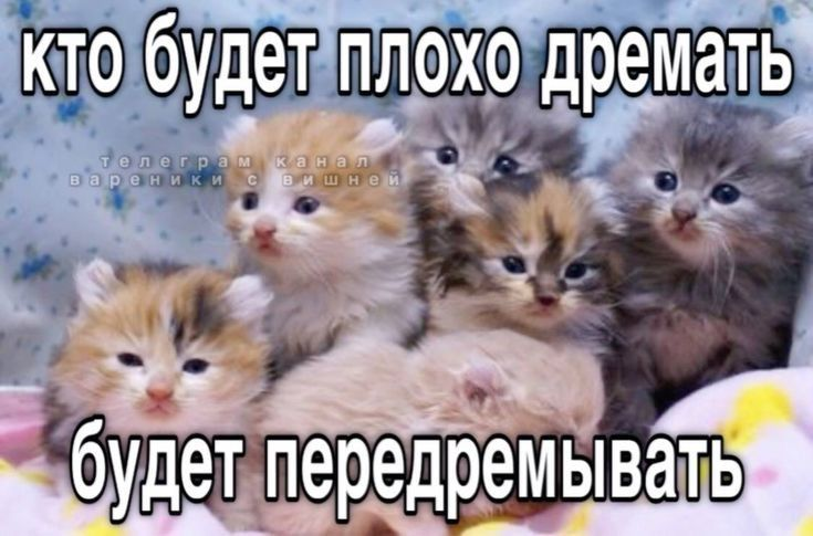 1732169425754.png