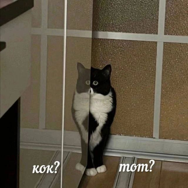 1732206764449.png