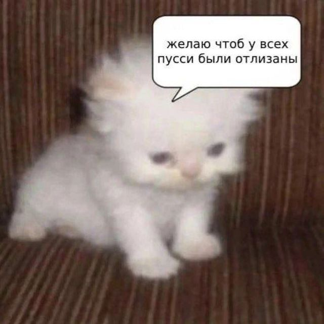 1732257529665.png
