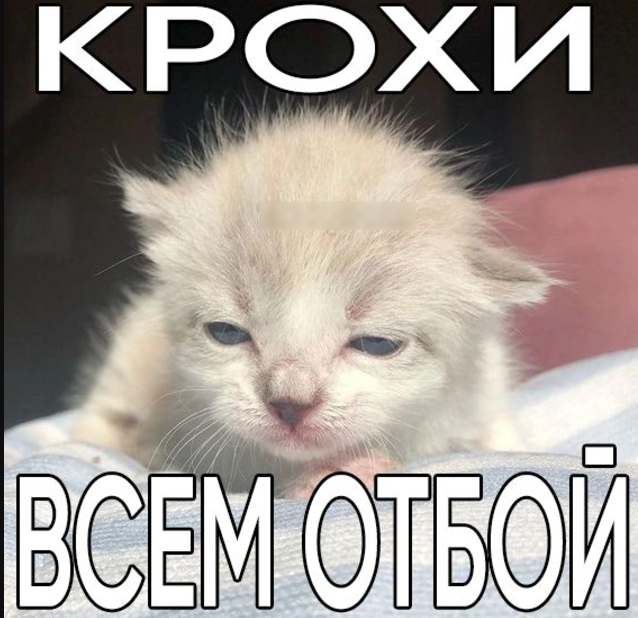 1732394546496.png