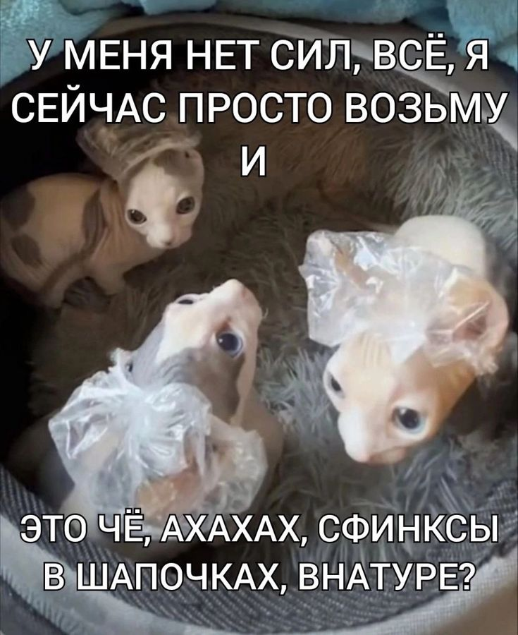1732543733805.png