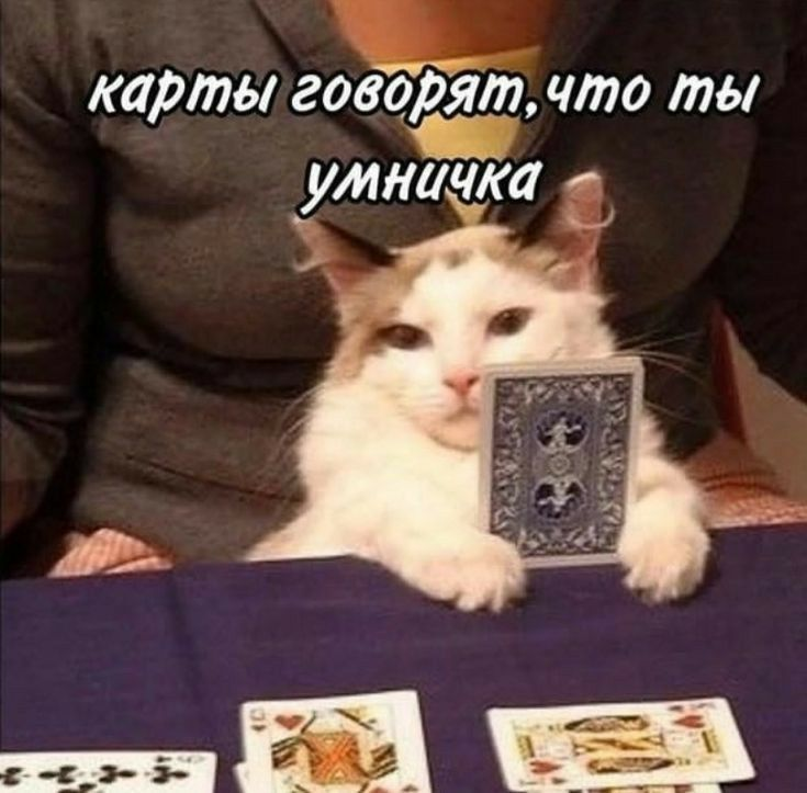 1732622052173.png