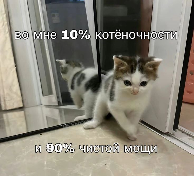 1732854678842.png