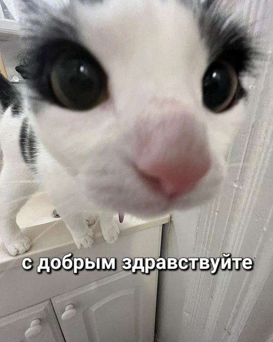 1733023456.jpg