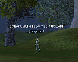 1733128763586.png