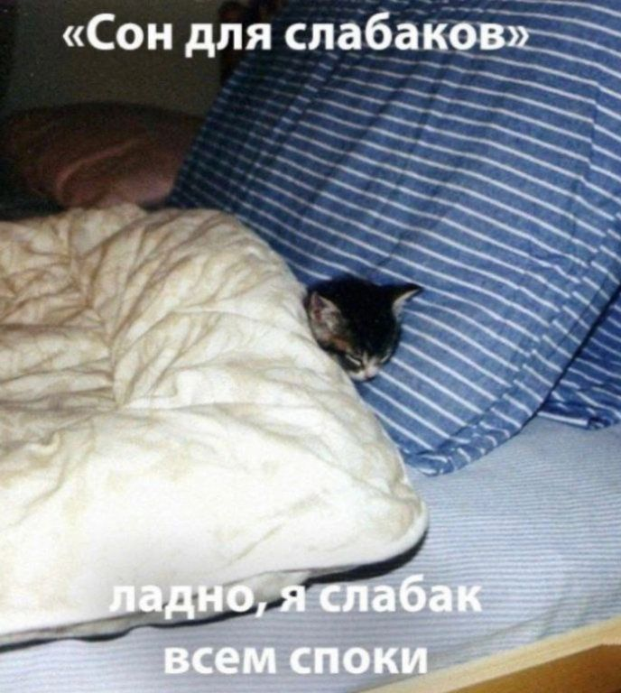 1733168897861.png
