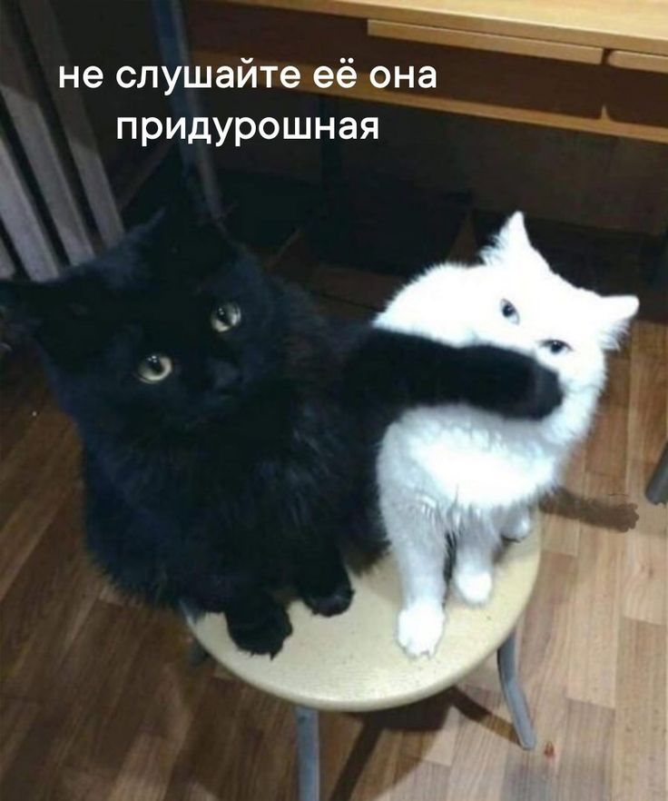 1733493073437.png