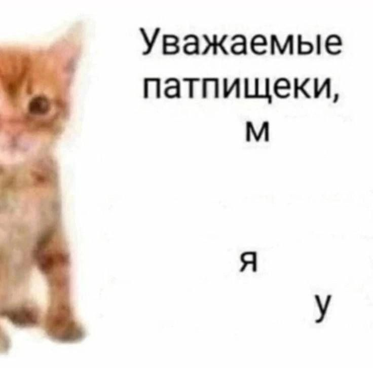 1733618012363.png