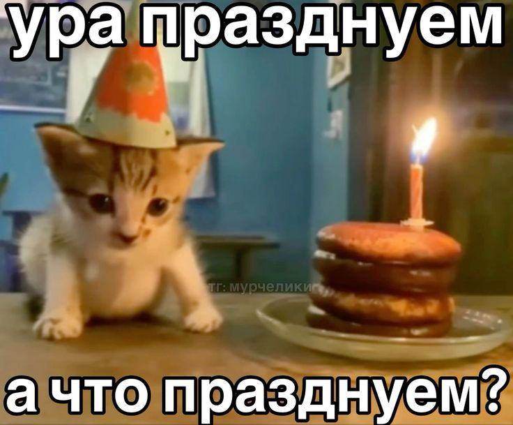 1733639986055.png