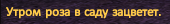 1733840838988.png
