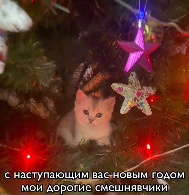 1733932737058.png