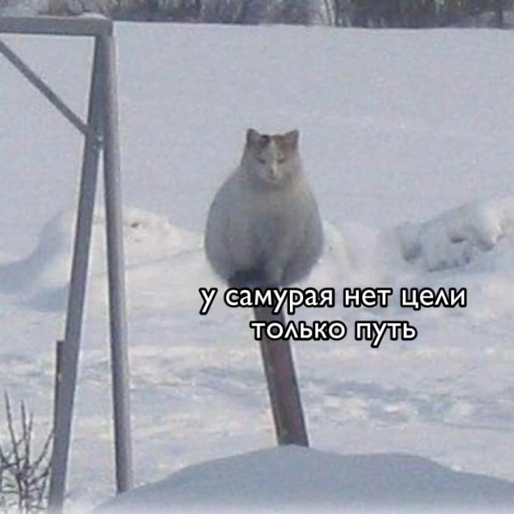 1734011669786.png