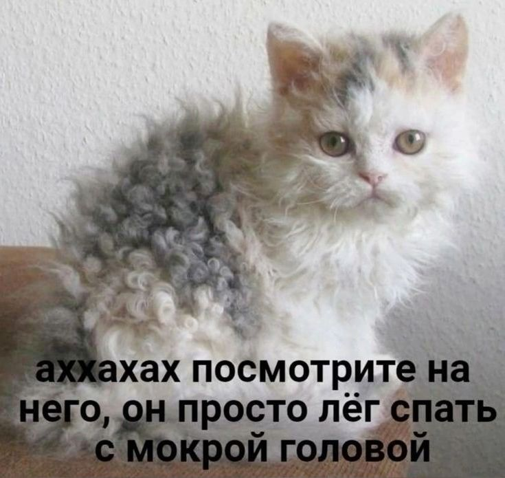 1734182029715.png