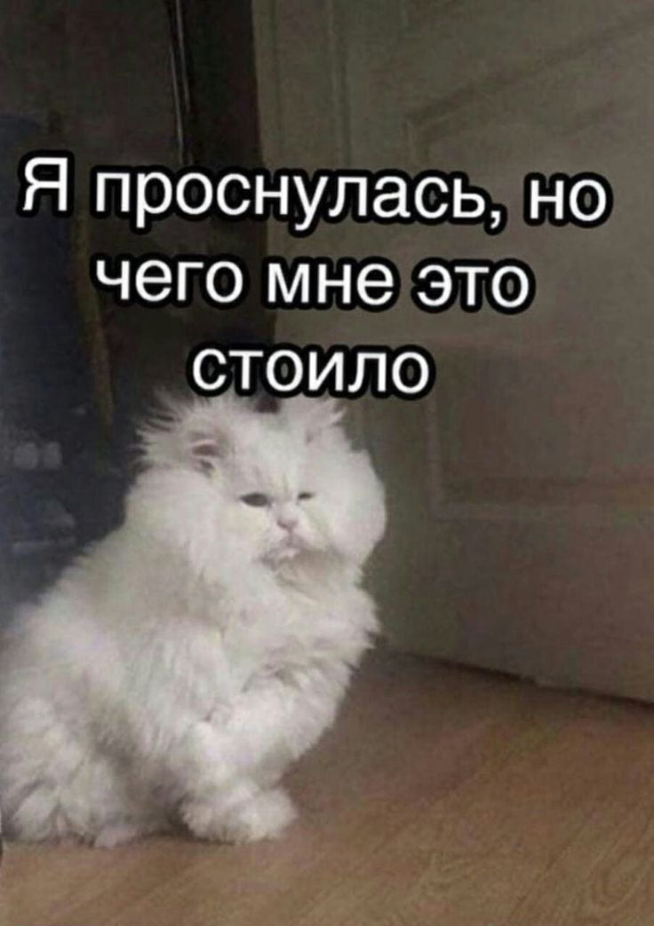 1734516993175.png