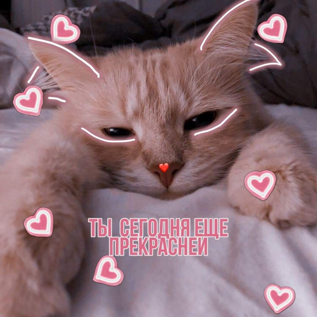 1734521162372.png