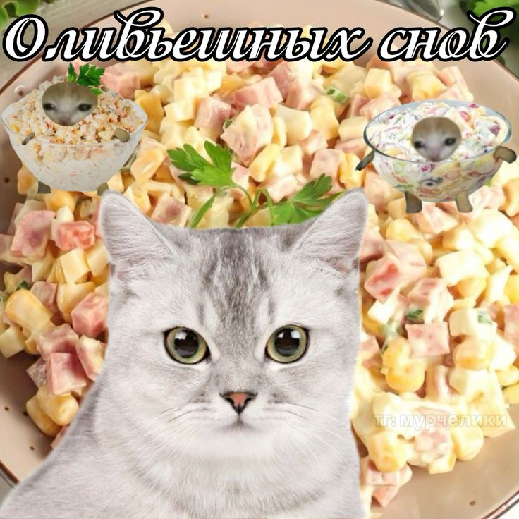 1734895800992.png