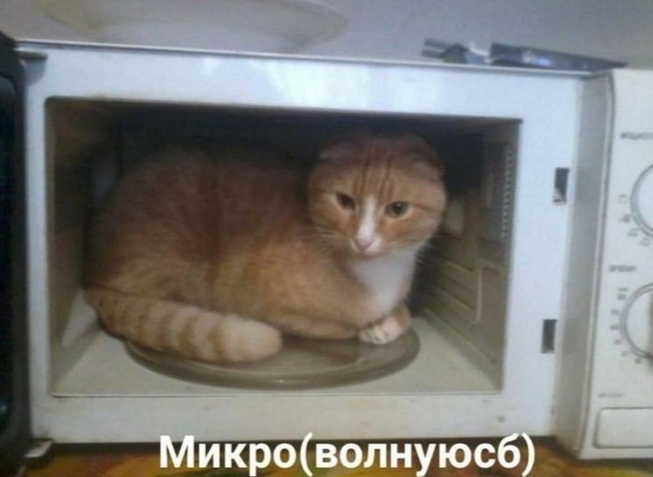 1734968494091.png