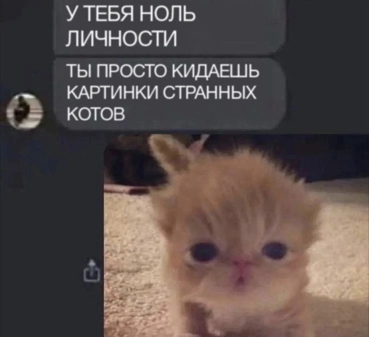 1734968559107.png