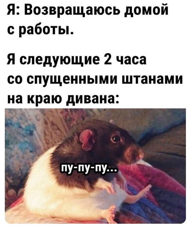 1735026822096.png