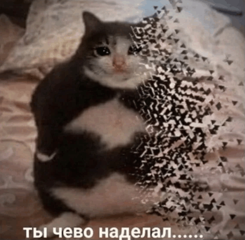 1735028497368.png