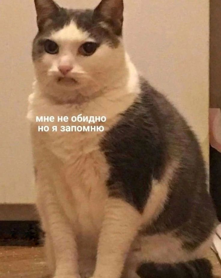 1735135115694.png