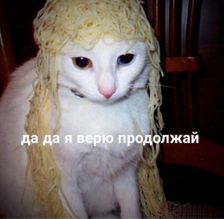 1735203471650.png