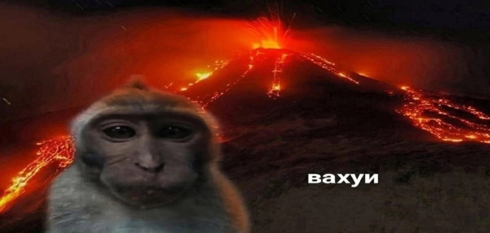 1735230071522.png