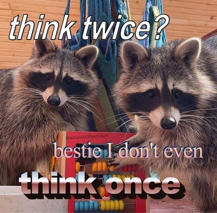 1736248372337.png