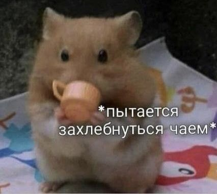1736274853983.png