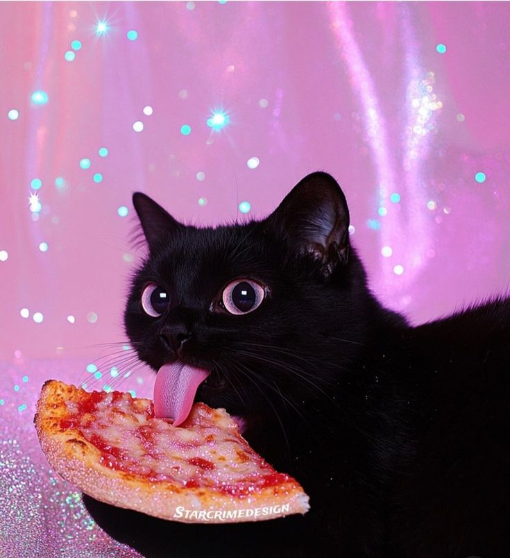 1737216496029.png