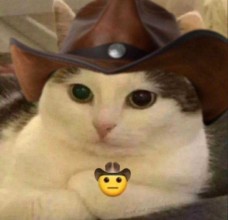 1737465628235.png