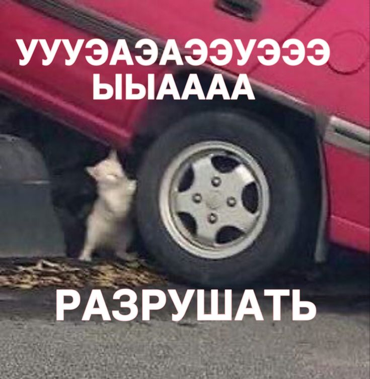 1737543426095.png