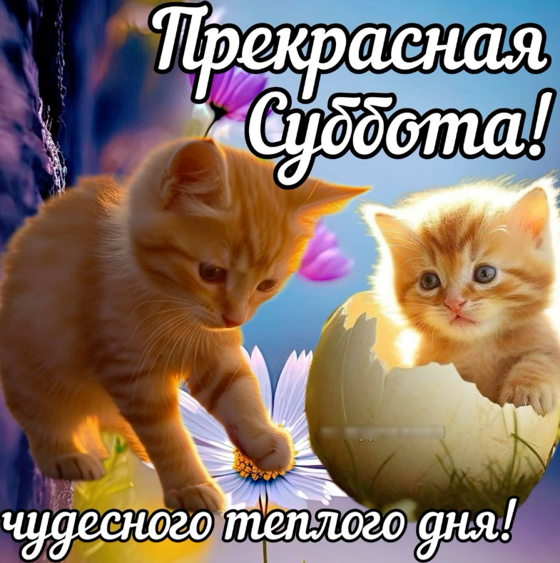 1737811673626.png