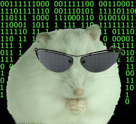 1738004199460.png