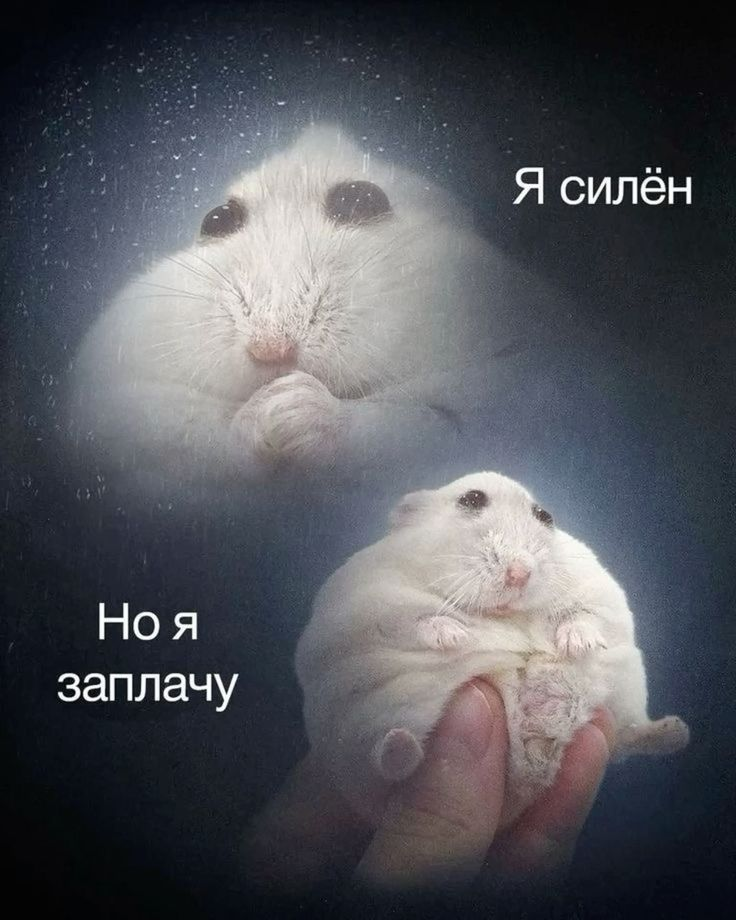 1738325660145.png