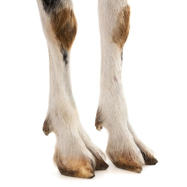 1738651927282.png