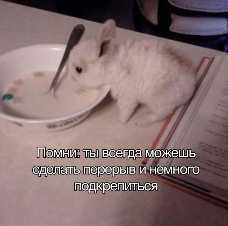 1738677338399.png